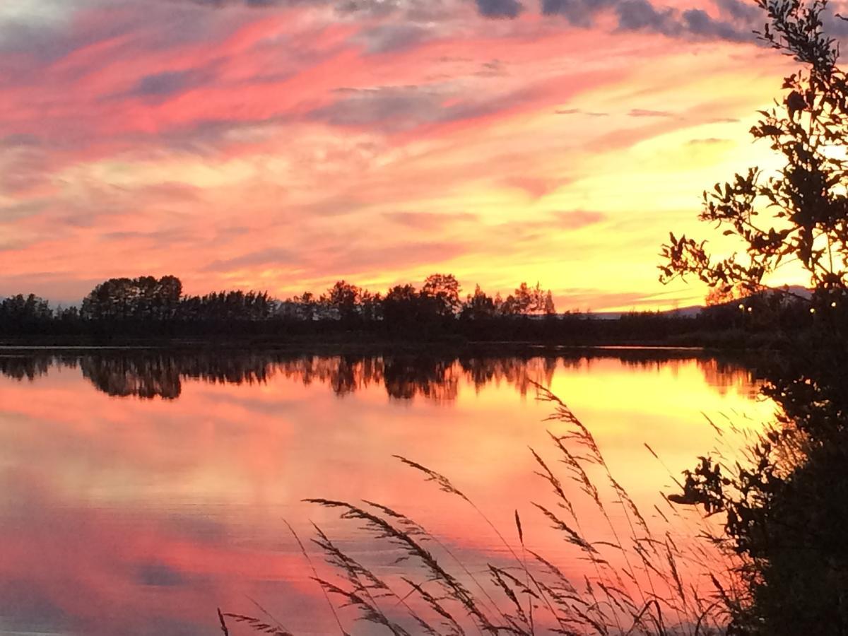 Reflection Lake Bed And Breakfast Anchorage Extérieur photo