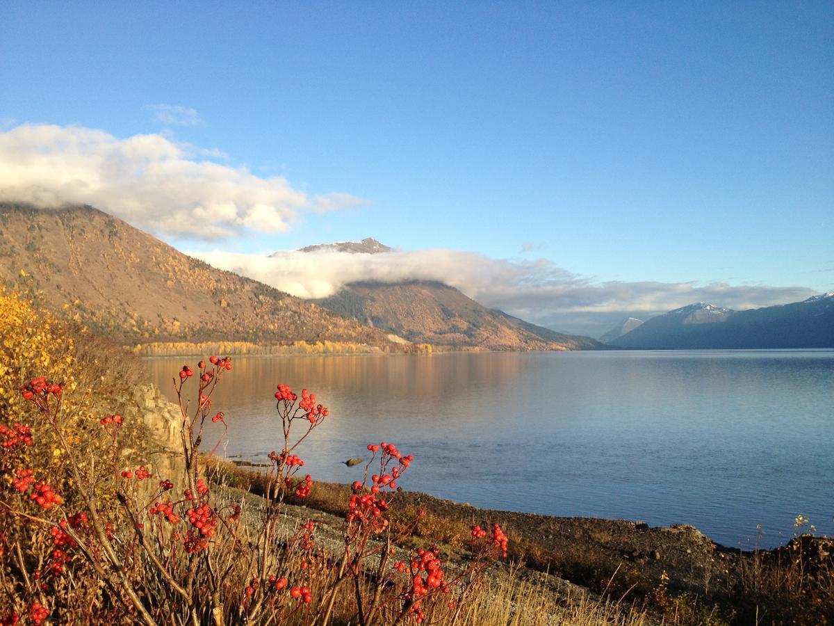 Reflection Lake Bed And Breakfast Anchorage Extérieur photo