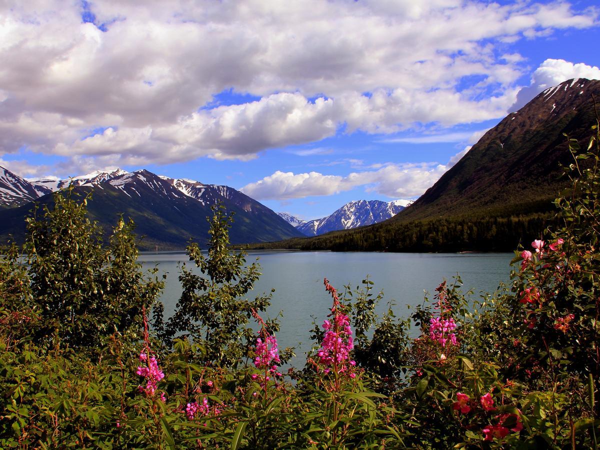 Reflection Lake Bed And Breakfast Anchorage Extérieur photo