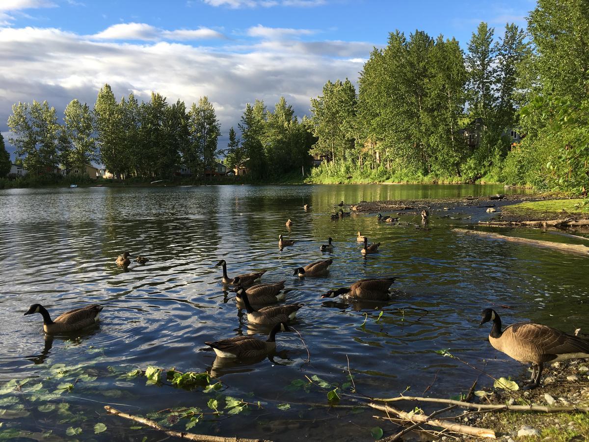 Reflection Lake Bed And Breakfast Anchorage Extérieur photo